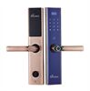 Khóa cửa thông minh Demax SL650 AC- màu Copper ( đồng) - Của tiêu chuẩn Đức
