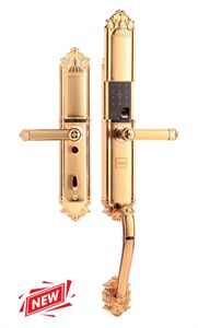 Khóa vân tay đại sảnh tân cổ Demax EL821 Gold App Wifi - Của tiêu chuẩn Đức