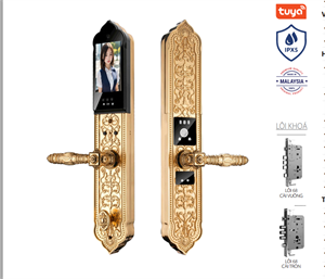 Khoá cửa tân cổ Avolock AC-998F-G thông minh có Face ID, App wifi