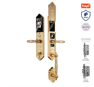 Khoá cửa tân cổ thông minh Avolock AC-999F-G Face Id