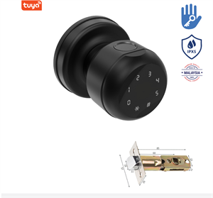 Khoá tay nắm tròn vân tay Avolock AT-104-B App wifi