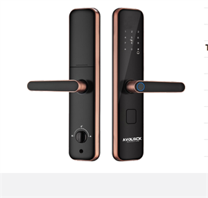 Khoá cửa gỗ vân tay Avolock AV 65 Gold App wifi