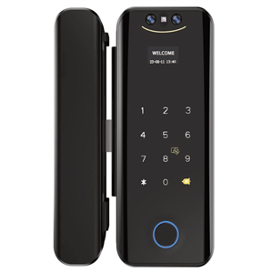 Khóa cửa kính vân tay Avolock AK 28 Black App, Remote 