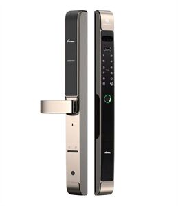 Khoá vân tay cửa nhôm Demax EL-C903 CG Face ID chống nước, tiêu chuẩn Đức