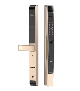 Khoá cửa nhôm thông minh Demax EL-C905 CG Face ID chống nước tuyệt đối