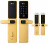 Khóa vân tay Thông Minh Demax EL-C79 CG App wifi màu champage gold