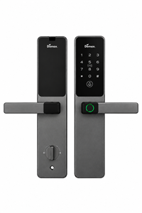 Khóa cửa thông minh Demax EL-C79 GS app wifi