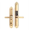 Khóa vân tay đại sảnh tân cổ Demax EL822 Gold App Wifi - Của tiêu chuẩn Đức