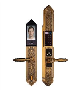 Khóa cửa đại sảnh Demax EL9862 GB Face ID - Của tiêu chuẩn Đức