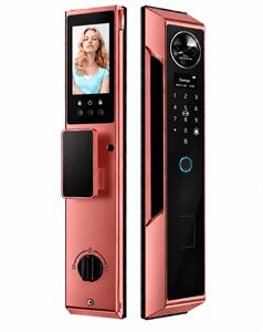 Khóa cửa vân taythông minh Demax EL-C910 CB App wifi, Face ID 3D