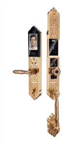 Khóa cửa vân tay đại sảnh Demax EL938 Gold App Wifi, Face ID - Cửa tiêu chuẩn Đức