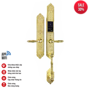 Khóa vân tay tân cổ Faster FS00924K BRASS Face ID