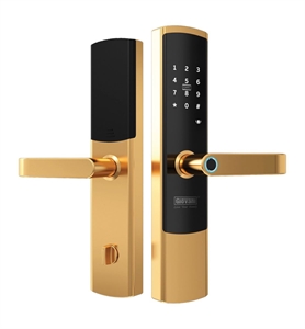 Khoá cửa vân tay Giovani GSL U801B màu Gold