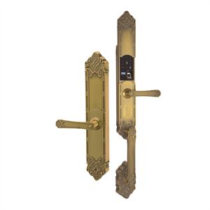 Khóa vân tay cửa đại sảnh Hubert HB DS77 Green App wifi