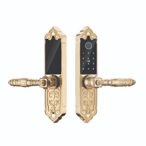 Khóa cửa vân tay Hubert HB DS79 Mini mạ Vàng 24K App Wifi