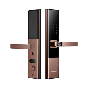 Khoá vân tay cửa gỗ Hyundai HY-SL010 Amber gold CNC App wifi