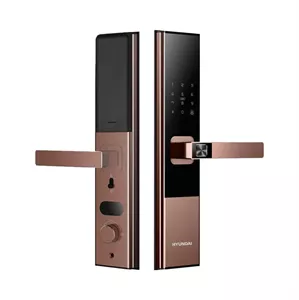 Khoá vân tay cửa gỗ Hyundai HY-SL010 Amber gold CNC App wifi