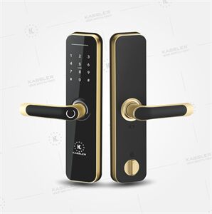 Khóa vân tay Kassler Kl-668 App wifi Gold