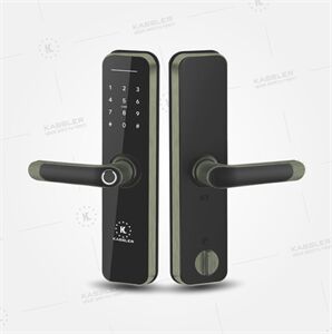 Khóa vân tay Kassler Kl-668 App wifi Green Bronze