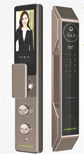 Khóa Vân Tay Kassler KL-899 CNC Coffee Face ID, App Wifi