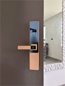 Khoá cửa vân tay Kassler KL-567 CNC Gold App TTlock, Remote wifi