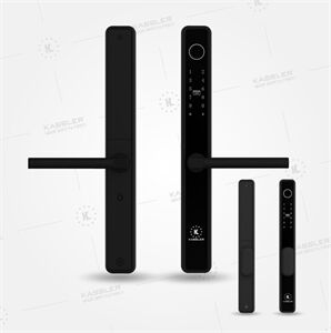 Khóa điện tử cửa nhôm, sắt Kassler KL-599IB App TTlock Chống nước