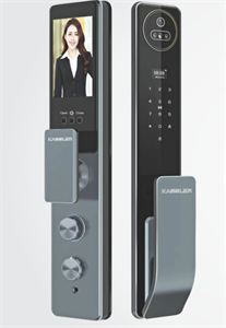 Khóa Vân Tay Kassler KL-889 Blue Gray Face ID, App Wifi