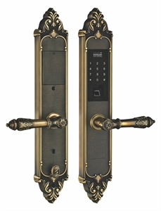 Khóa vân tay đại sảnh Kassler KL-959GR( vàng đen) - Chống mưa