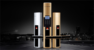 Khóa cửa vân tay Dessmann S5101 (Chống nước mưa)