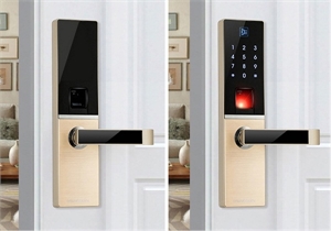 Khóa cửa Wifi, khoá vân tay Dessmann A800-P ( tiêu chuẩn Đức) - chống nước mưa