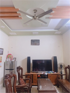 Quạt trần Typhoon