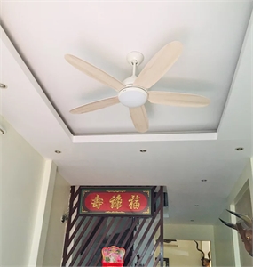 Địa chỉ bán quạt trần 6 cánh giá rẻ, chính hãng, uy tín số 1 hiện nay