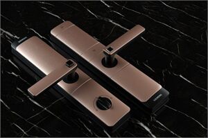 Khóa cửa điện tử Siemens C320 màu Đồng