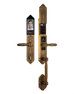 Khóa cửa đại sảnh Demax EL986 Face ID màu - Của tiêu chuẩn Đức